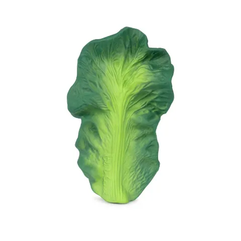 Grünes Kohlblatt aus Naturkautschuk zum Greifen