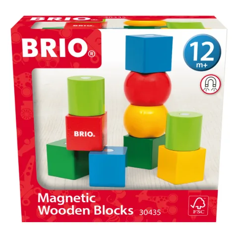 Schachtel mit bunten magnetischen Holzbausteinen von BRIO