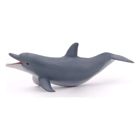 Grauer Delfin